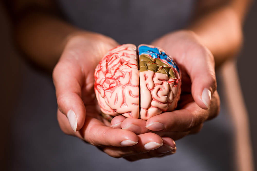 Brain Health