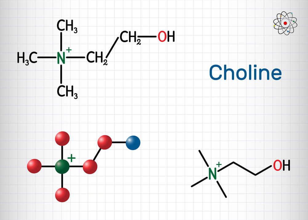 Choline