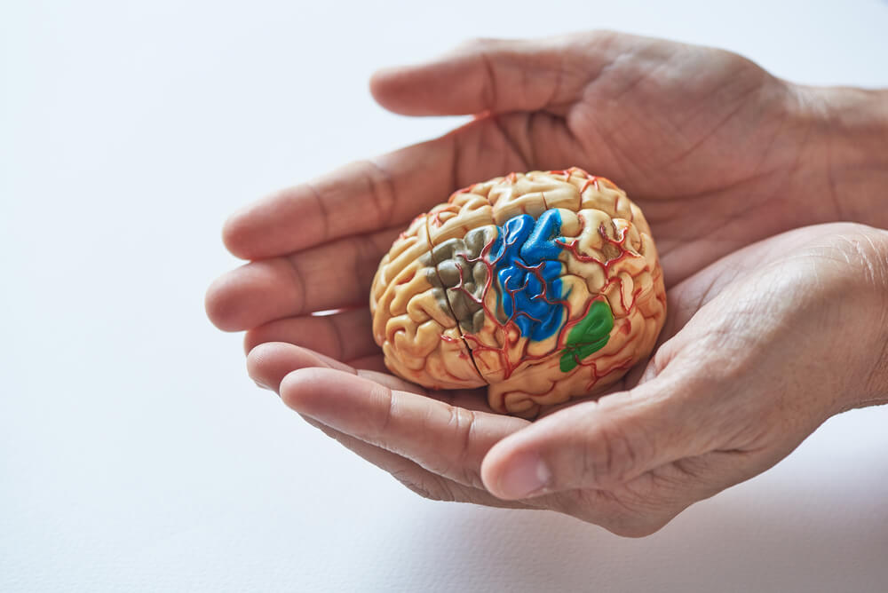 Brain Protection